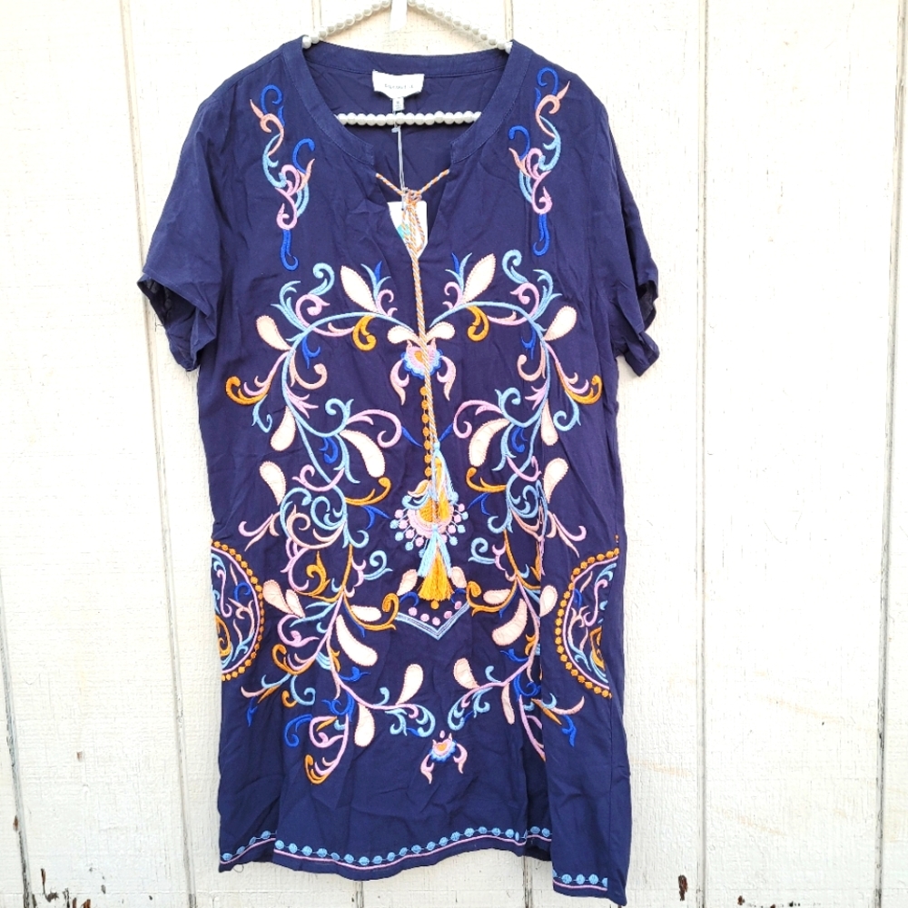 Embroidered Blue Dress